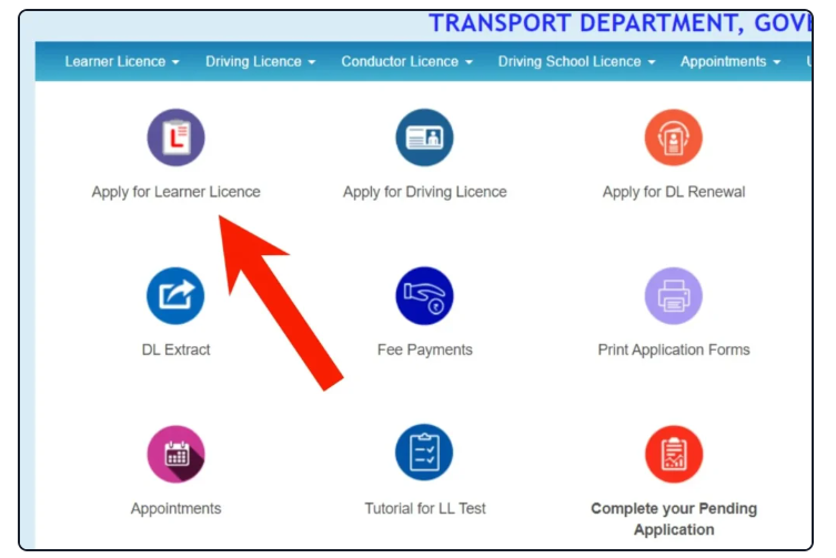 Learner License number