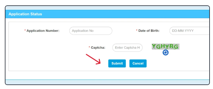 Application Status Online