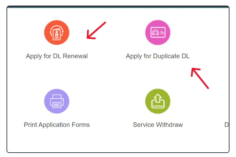 Driving License Related Services